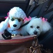 Brenda Delgado's photo