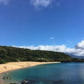 Jaclyn Foy's photo
