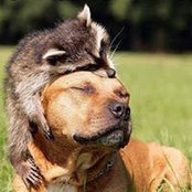 Laura Wilson's photo