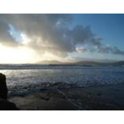 Judy Higgins's photo