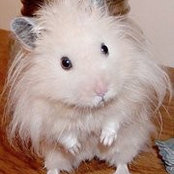 Rhonda Boothes foto