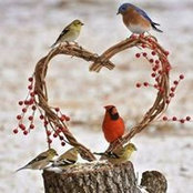Darlys Donaldson's photo