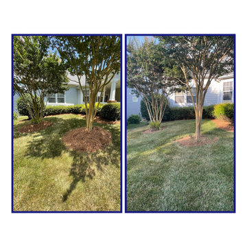 JPG Landwork Pine Needle
