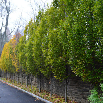 Gardens for a Classic Colonial Home