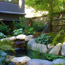 Master Bath Garden Plant Ideas
