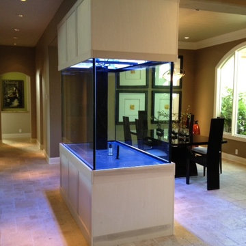 Aquarium installed