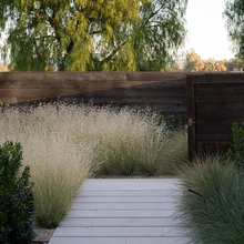 Plantings