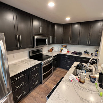 Castle Rock 23-Day Kitchen Remodel