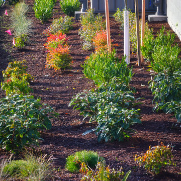 COMMERCIAL LANDSCAPE SERVICES