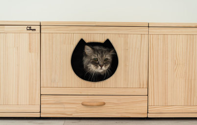 Фотоохота: 21 пример, когда кошки дизайну не помеха