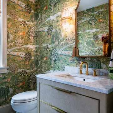 Washington, DC 100-year Old Traditional Addition & Remodel