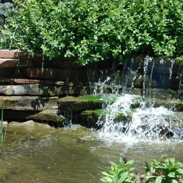 Ponds