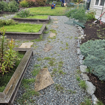Backyard Remodel