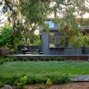 Berkeley Modern Craftsman Garden