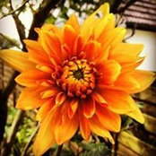 Htere Garcass foto