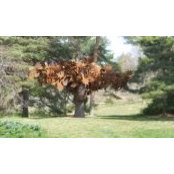 Jo-Ann Fiore's photo