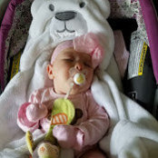 Stephanie Shefner's photo