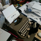 Paul Singer's photo