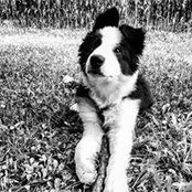 Sara Cadel's photo