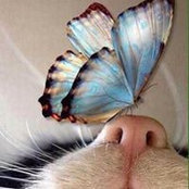 Jennifer Hocott's photo