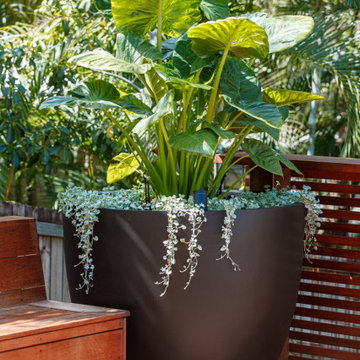 Noosa Heads - Residential