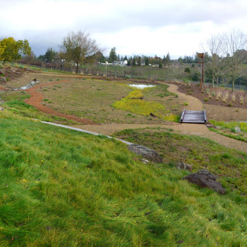 sebastopol rain garden & meadow