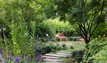 8 Best Shade-Loving Plants for Gardens That Get Less Sunshine