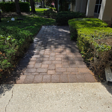 Driveway Paver Cleaning, Re-Sanding & Sealing in Ormond Beach FL