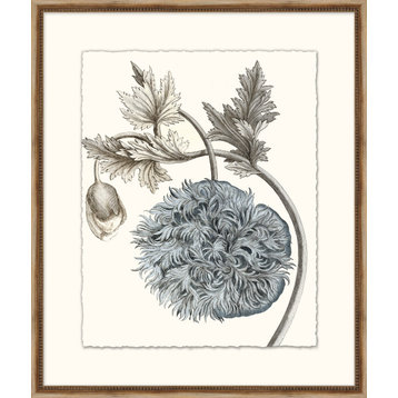 Azure Botanical 5, Giclee Reproduction Artwork
