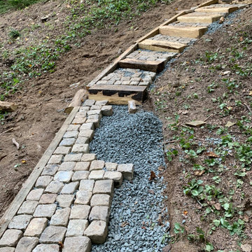 Lutherville Woodland Garden