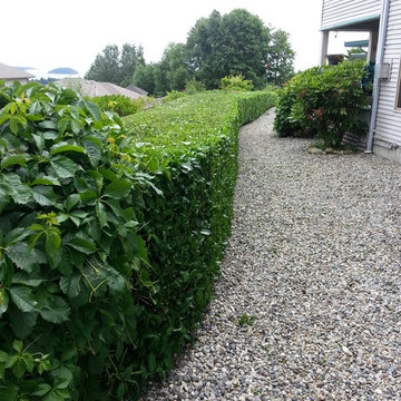 Pathways