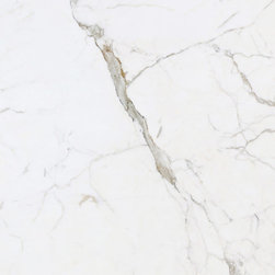 Calacatta Gold Eccelente Exotic White Marble - Products