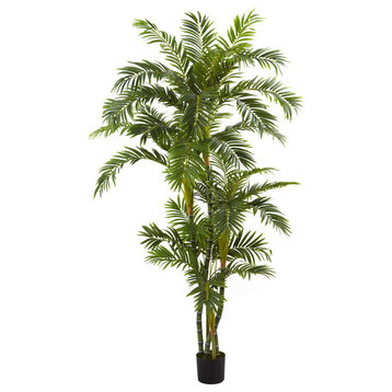 6' Curvy Parlor Palm Silk Tree