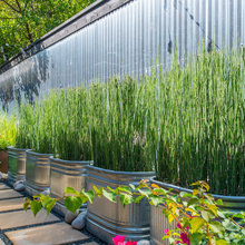 Garden ideas