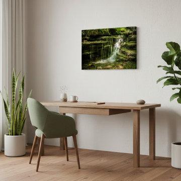 Pixley Falls Modern Organic Style Wall Art