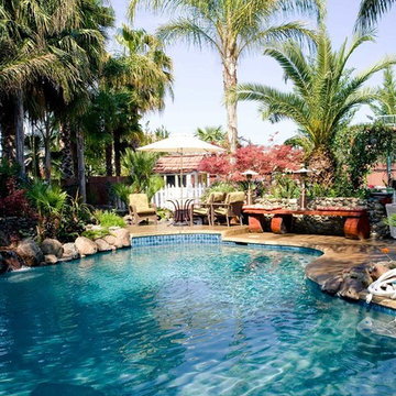 Backyard Landscape Renovation