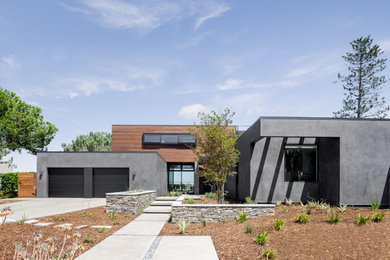 Ejemplo de fachada de casa negra minimalista extra grande de dos plantas con revestimiento de madera y tejado plano