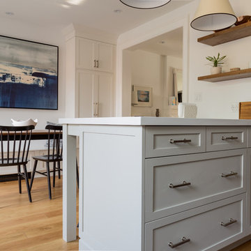 Eleventh Street- Transitional white kitchen