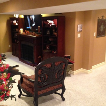 Finished Lower Level / Basement