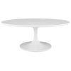 Lippa 42" Oval Wood Top Coffee Table, White