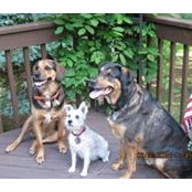 Deborah Miller Gigliotti's photo