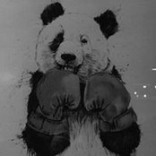 Roberto Flores's photo