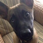 Maryann Kodanko's photo
