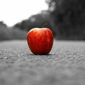 Raha Haghi's photo