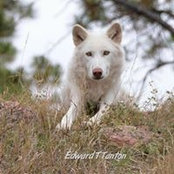 Foto di Ed Tanton