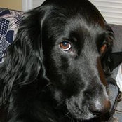 Alan Graham's photo