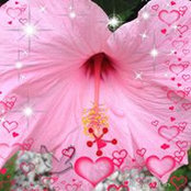 Cheryl Armstrong's photo