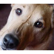 Tonya Williams's photo