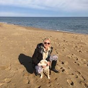 Rebecca Phillips's photo
