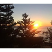 Davina Poletto's photo